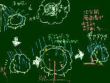 [2009-04-11 02:40:10] 上からも下からも血