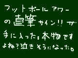 [2009-04-16 10:12:20] すごいものを譲ってもらった