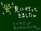 [2009-06-03 22:41:51] 数年ぶりに…