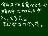 [2009-06-21 19:51:35] 受験生なのにこんな日々いいのだろうか・・・