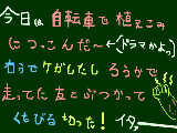 [2009-08-27 20:30:51] 実話ですよ！ウチいつも馬鹿でマヌケなんですよっ（≧д≦；）でも今日は本当についてない一日ですた･･･カットバン貼らなきゃ･･･←（わびしぃ～）　