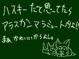 [2010-03-20 20:39:15] 今日の志村動物園を見てCMではハスキーだと思ってたｗあ、ちなみにハスキー飼ってます^p^