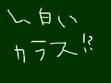 [2010-08-20 17:37:38] 今テレビでやってました!真っ白とは行かないんですねやっぱ。羽の部分だけちょっと白いだけでもすごいｗｗ