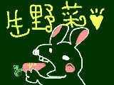 [2009-05-17 23:41:12] 生野菜！