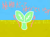 [2009-05-20 23:17:12] 植物