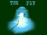 [2009-05-22 11:45:37] THE FLY
