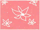 [2009-05-29 12:31:11] flower with [ pink wallpaper and dots]