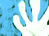 ◆手◆