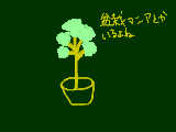 [2009-10-02 22:48:05] 盆栽（？）