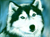 [2009-11-01 22:50:43 今日のお題｢犬｣を好機にさせてもらいます♪　～24さんへ