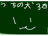 [2009-11-29 17:11:58] 内の犬３匹