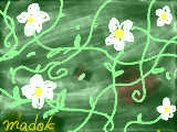 [2010-01-05 18:57:49] いちごの花