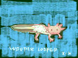 WOOPER LOOPER