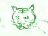 「ネコトラ」　お父さんが描いてくれました！！（＞Ａ＜）ノシ