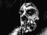 Wes Borland  (Black Light Burns)