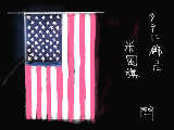 [2010-09-03 23:50:37] タテに掲揚した米国旗