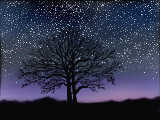 [2011-07-19 14:05:48 樹は星々の声を聴く