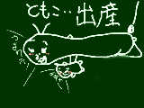 [2012-05-06 13:10:27 産まれた・・・！！byともこ