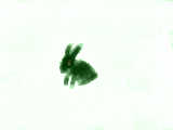 [2012-06-06 04:40:37] 黒ウサギ