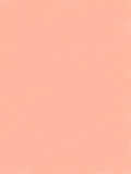 [2016-03-30 15:55:39] ピンク系背景：シーシェルピンク