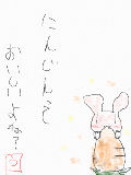 [2009-07-28 22:20:45] にんじん嫌いって、言わないでね