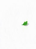 [2009-08-17 17:46:23] leaf～小さな葉っぱの恋～（リプレイしても何もでないよ