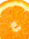 [2009-09-26 20:18:44] オレンジ