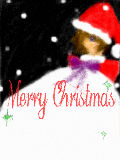 [2009-12-24 17:48:54] Merry Christmas!!