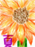 [2010-08-08 22:11:37] 花です。夏ですっ！