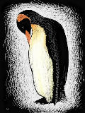 [2010-10-16 05:27:54] スクラッチボード味のペンギンさん