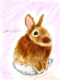 [2011-04-29 16:46:01] I♡rabbit