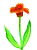 [2012-03-27 14:04:57] 描くものが浮かばなかったから花を描けばいいと思ったんだ