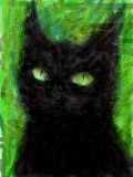 [2013-03-05 04:10:28] Black cat